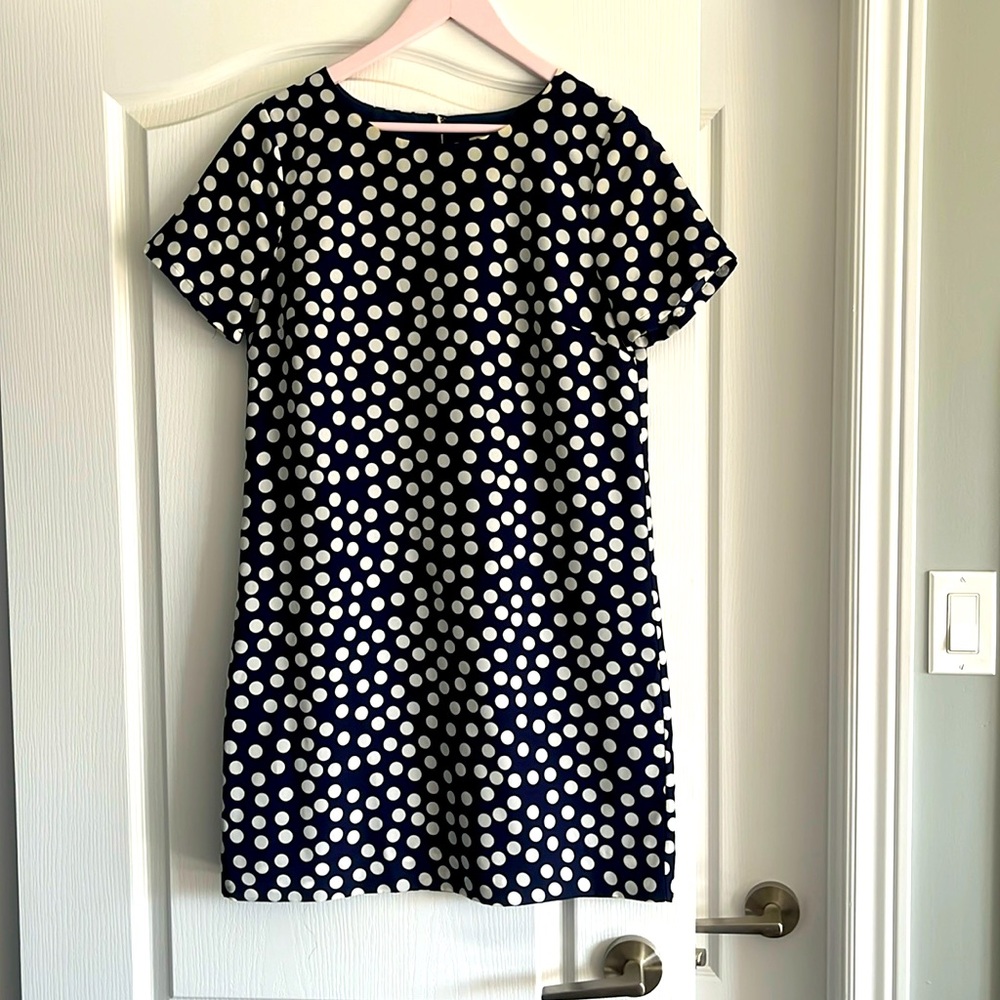 JCrew Factory Polka Dot Mini Dress